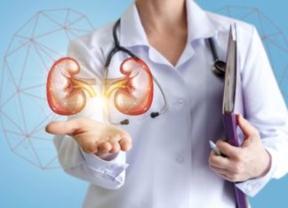 Kujdesuni për shëndetin e veshkave