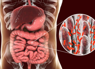 A mund të shkaktojnë ankth dhe depresion bakteret e zorrëve?