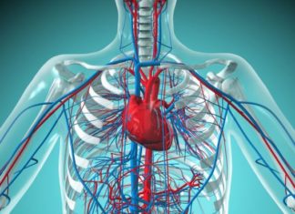 Çfarë është qarkullimi i dobët?