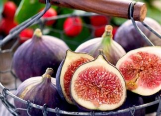 Fiqtë nxisin shëndetin e mirë dhe ndihmojnë në problemet e shumta shëndetësore