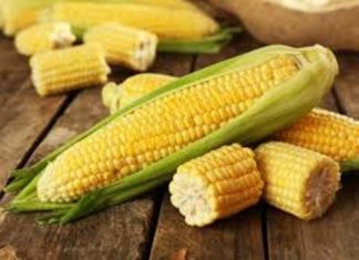 Misri – ushqim, ilaç dhe vakt i shëndetshëm