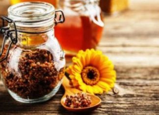 Propolisi – burim i shëndetit