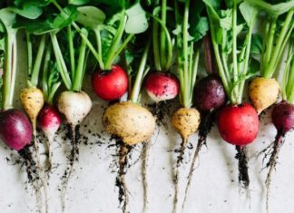 Të gjitha avantazhet e perimeve rrënjore