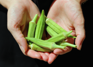 Është koha për bamje