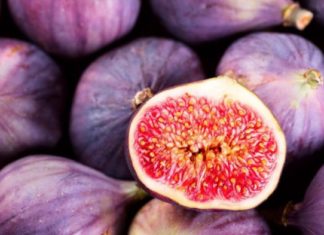 Fiqtë – Burim i pasur i mineraleve dhe vitaminave