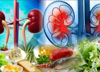 Ushqimi i duhur për veshka të shëndetshme