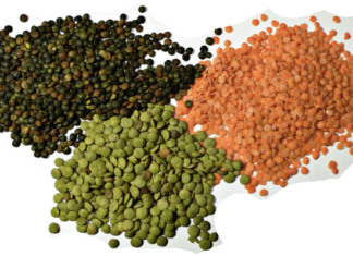 Bishtajoret: Thjerrëzat e zvogëlojnë nivelin e glukozës në gjak