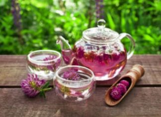 Tërfili i kuq – terapi hormonale natyrore