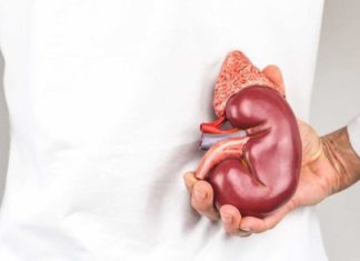 Pacientët me veshka të transplantuara të infektuara dhe shërimi i hepatitit C