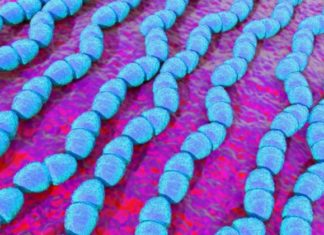 Problem i ri: Bakteret bëhen rezistente edhe ndaj xhelit të duarve në spitale