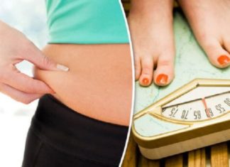 Gjenet mund ta kufizojnë metabolizmin e yndyrnave