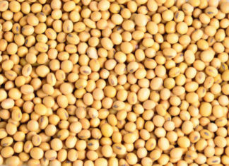 Ushqimet që e pengojnë funksionin e gjëndrës tiroide