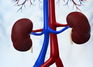 Kur veshkat shkatërrohen pa simptoma – insuficienca renale