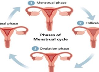 Pesha, mosha, duhani, alkooli… – ndikojnë në ciklin menstrual!