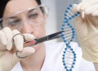 Cilat sëmundje i trashëgojmë nga nëna, dhe cilat nga babai