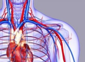 Shenjat që tregojnë për qarkullimin e dobët të gjakut