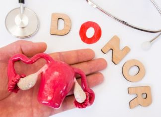 HISTORIA E MJEKËSISË: Transplantimi i mitrës