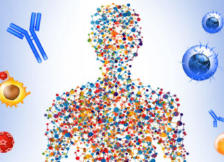 Sistemi imunitar tek femrat është i ndryshëm nga ai i meshkujve