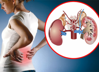 Simptomat që tregojnë se veshkat nuk funksionojnë siç duhet