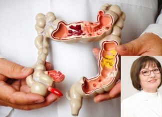 Dr. Liljana Tevdovska: EHO diagnostikimi i inflamacionit akut të apendicitit