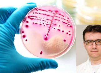 Dr. Martin Ivanovski: Si zbulohen streptokokët dhe pse është e rëndësishme që infeksionet të identifikohen shpejt?