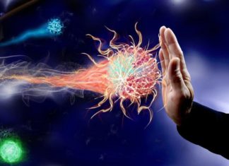 Ekzistojnë dy forma të imunitetit dhe të dyja luajnë rol të madh në mbrojtjen nga koronavirusi – çfarë duhet të dini?