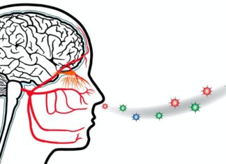 SIMPTOMË E SHPESHTË: Gjithnjë e më shumë pacientë e humbin ndjenjën e nuhatjes si rezultat i koronavirusit