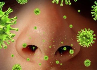 SIMPTOMAT E KORONAVIRUSIT: Si KOVID-19 shkakton humbjen e nuhatjes; kur dhe a kthehet ndjesia normale te pacientët