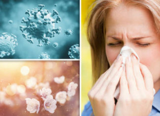 MBROJTJE NATYRORE: Gjithçka që duhet të dini rreth temperaturës së lartë dhe kur është koha e duhur për tek mjek