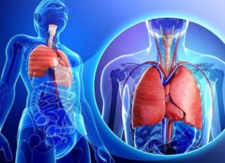 MJEKËT ZBULOJNË: Çfarë ndodh në fazën misterioze që fillon rreth ditës së 14-të pas infektimit me COVID-19