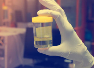 Mbajtja e urinës mund të shkaktojë probleme serioze – ja sa kohë guxoni “të duroni”