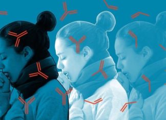 STUDIM I RI: Personat që kanë kaluar COVID-19 janë të mbrojtur për të paktën gjashtë muaj, por nuk është rregull për të gjitha grupmoshat