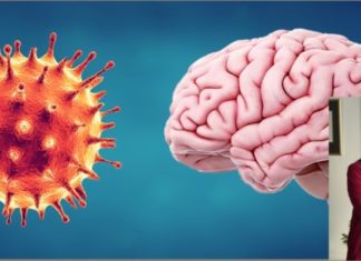 Ass. Dr. Vaska D. Mitova: Pasojat psikologjike të atyre që kaluan COVID-19 mund të zgjasin me muaj, por edhe me vite